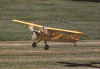 cub_2.gif (217916 bytes)