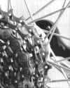gears.jpg (94643 bytes)