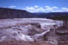 nyellow2.jpg (106704 bytes)